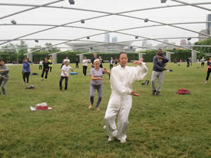 Master Zhang Tai Ji Seminars In Millenium Park