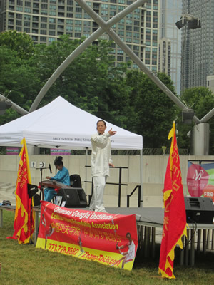 Master Zhang Tai Ji Seminars In Millenium Park